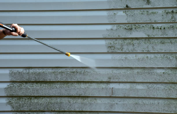 Professional Pressure Washing in Clatskanie, OR